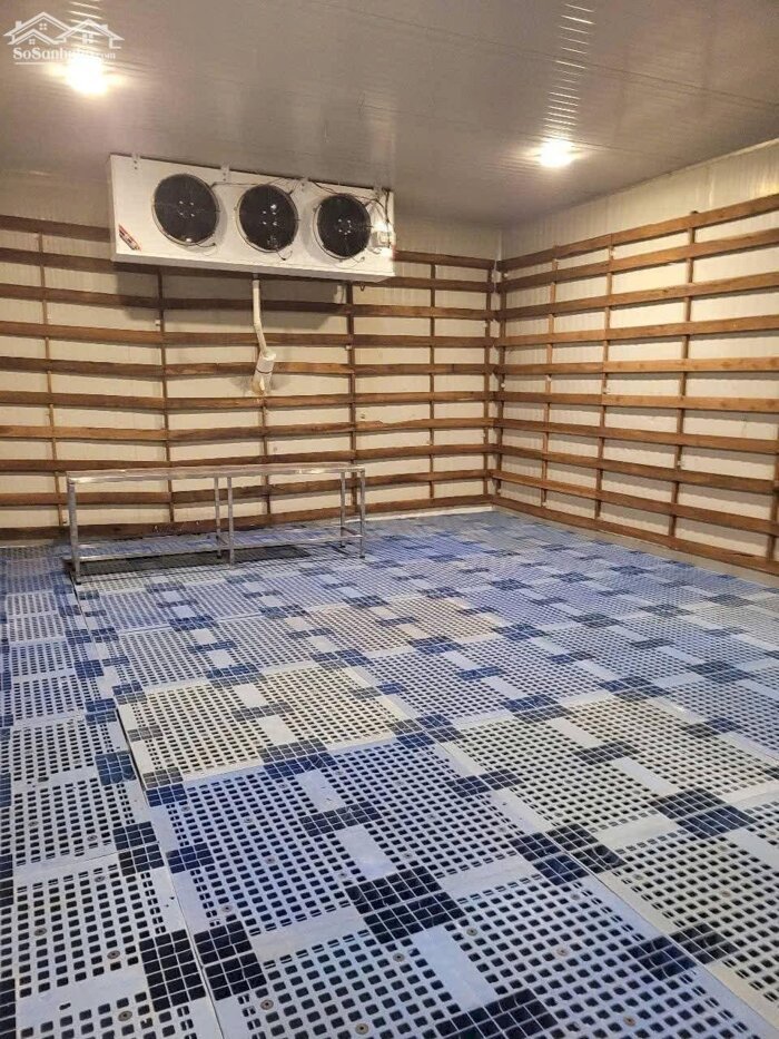 Hình ảnh Cho thuê xưởng 1200m2 Thủy Sản Đông Lạnh TPHCM 2