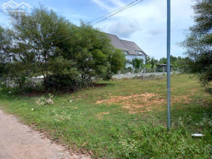 Hình ảnh Đại Hạ Giá-Nhiều đất Sào,gần Hồ Quang Cảnh,gần DT715-Mũi Né(Thiện Nghiệp-Phan Thiết) 0