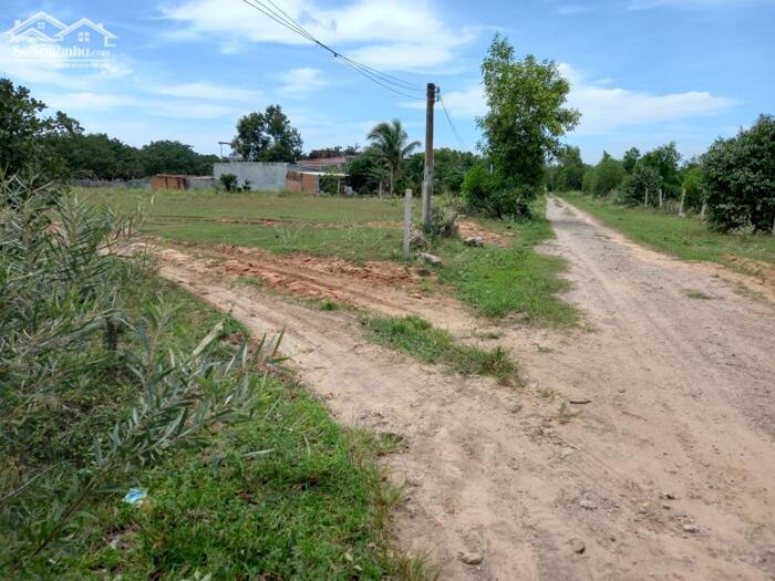 Hình ảnh Đại Hạ Giá-Nhiều đất Sào,gần Hồ Quang Cảnh,gần DT715-Mũi Né(Thiện Nghiệp-Phan Thiết) 2