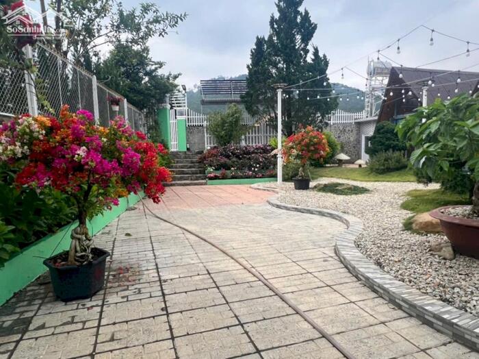 Hình ảnh Bán Homestay mặt tiền chân đèo Pren – đối diện KDL Đôi Dép, Hiệp An, Đà Lạt 5
