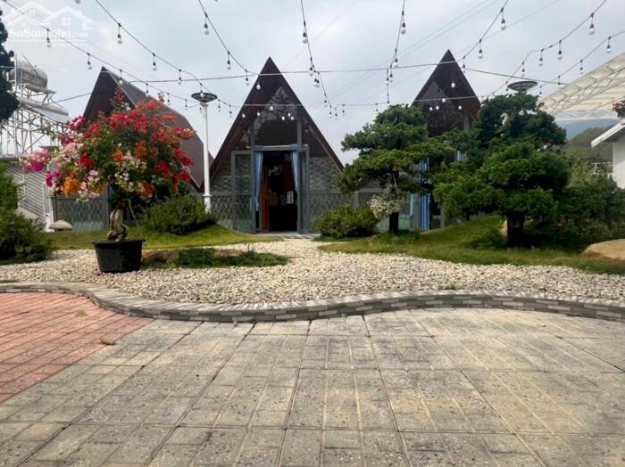 Hình ảnh Bán Homestay mặt tiền chân đèo Pren – đối diện KDL Đôi Dép, Hiệp An, Đà Lạt 13