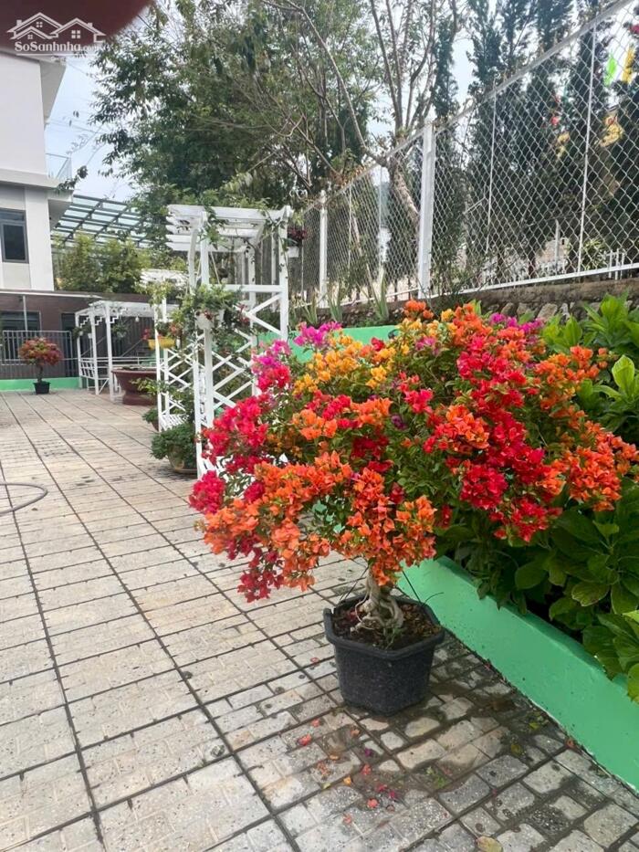 Hình ảnh Bán Homestay mặt tiền chân đèo Pren – đối diện KDL Đôi Dép, Hiệp An, Đà Lạt 15