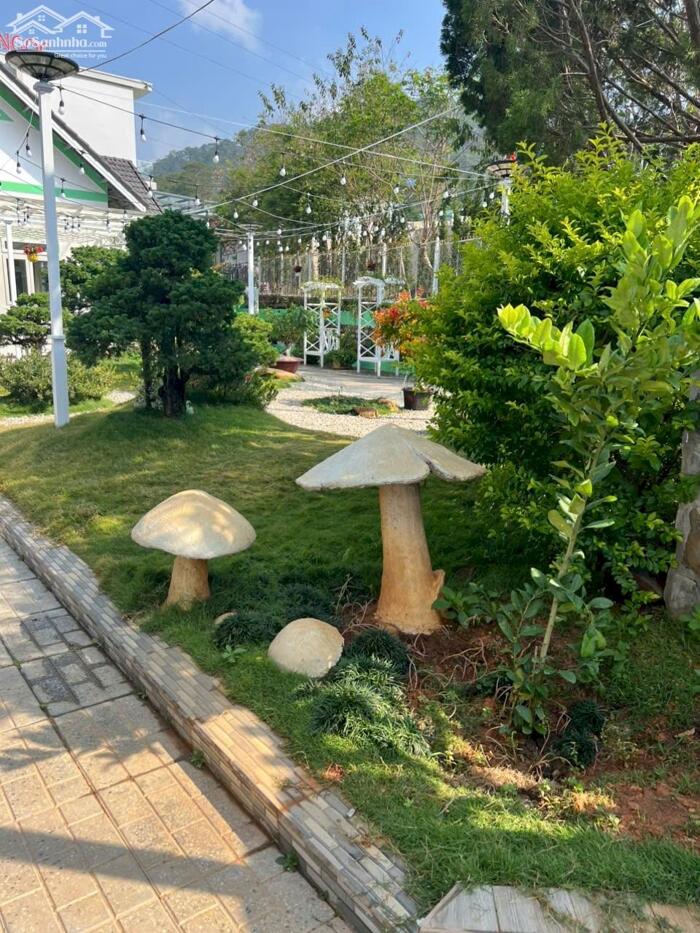 Hình ảnh Bán Homestay mặt tiền chân đèo Pren – đối diện KDL Đôi Dép, Hiệp An, Đà Lạt 10