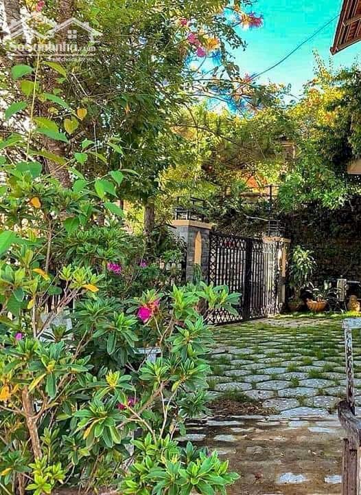 Hình ảnh Bán nhà Trần Thái Tông, Phường 9, Đà Lạt – 1 trệt 1 lầu, sân đậu 3 ô tô, view đồi thông 6