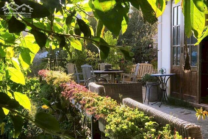 Hình ảnh Bán nhà Trần Thái Tông, Phường 9, Đà Lạt – 1 trệt 1 lầu, sân đậu 3 ô tô, view đồi thông 3