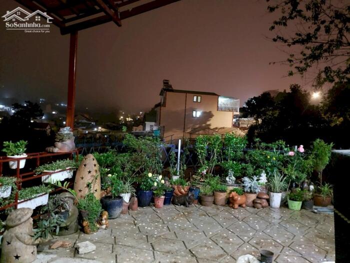 Hình ảnh Bán nhà Trần Thái Tông, Phường 9, Đà Lạt – 1 trệt 1 lầu, sân đậu 3 ô tô, view đồi thông 8