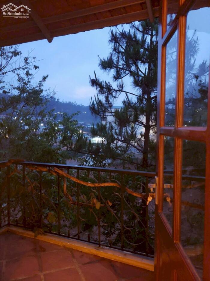 Hình ảnh Bán nhà Trần Thái Tông, Phường 9, Đà Lạt – 1 trệt 1 lầu, sân đậu 3 ô tô, view đồi thông 10