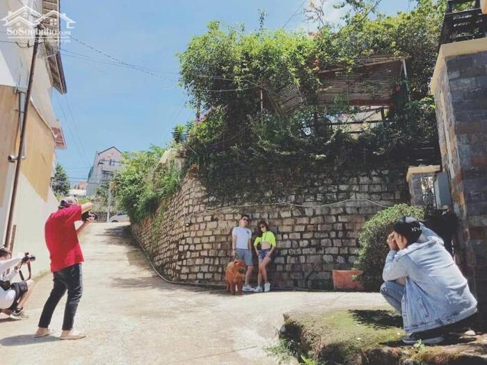 Hình ảnh Bán nhà Trần Thái Tông, Phường 9, Đà Lạt – 1 trệt 1 lầu, sân đậu 3 ô tô, view đồi thông 4