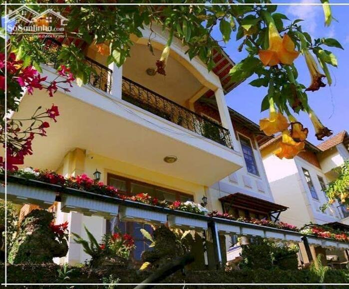 Hình ảnh Bán nhà Trần Thái Tông, Phường 9, Đà Lạt – 1 trệt 1 lầu, sân đậu 3 ô tô, view đồi thông 0