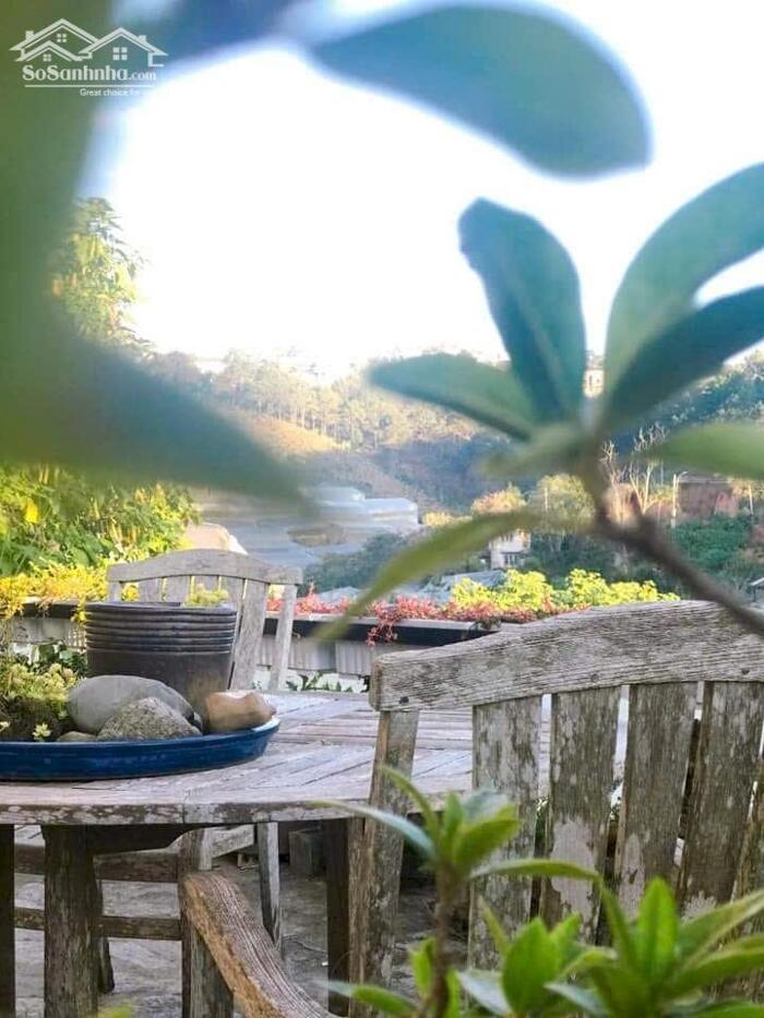 Hình ảnh Bán nhà Trần Thái Tông, Phường 9, Đà Lạt – 1 trệt 1 lầu, sân đậu 3 ô tô, view đồi thông 5