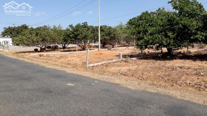 Hình ảnh Đất mặt tiền DT715-Thiện Nghiệp-Phan Thiết-DT 5.820m2,có 400m2 thổ cư 0