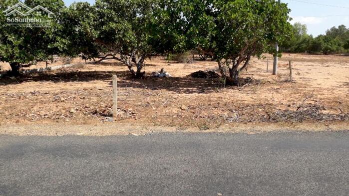 Hình ảnh Đất mặt tiền DT715-Thiện Nghiệp-Phan Thiết-DT 5.820m2,có 400m2 thổ cư 1