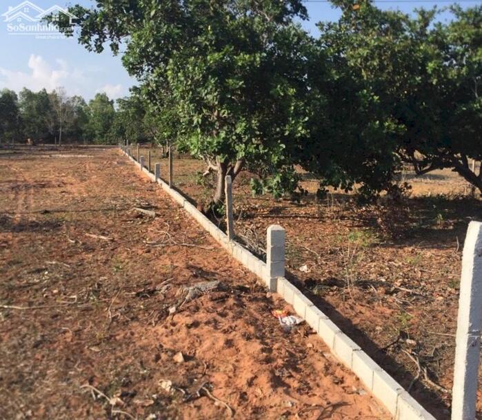 Hình ảnh Đất mặt tiền DT715-Thiện Nghiệp-Phan Thiết-DT 5.820m2,có 400m2 thổ cư 2