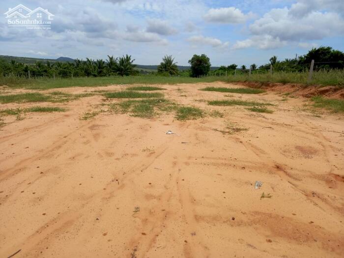 Hình ảnh Cần bán nhanh-2 lô liền kề 1.000m2,mặt tiền 13m DT 715-Gần Thiện Nghiệp-Phan Thiết 2