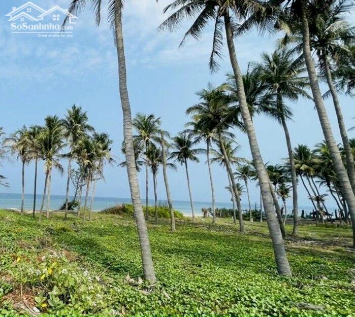 Hình ảnh Đất mặt tiền Biển,MT đường Huỳnh Thúc Kháng-Hàm Tiến-Phan Thiết-DT 1.040m2 0