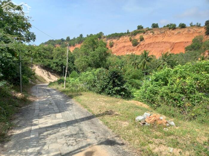 Hình ảnh Đại Hạ Giá-Nhiều Đất Sào 2 mặt tiền Suối Tiên-Mũi Né(Phan Thiết)-Lâm Đồng 2
