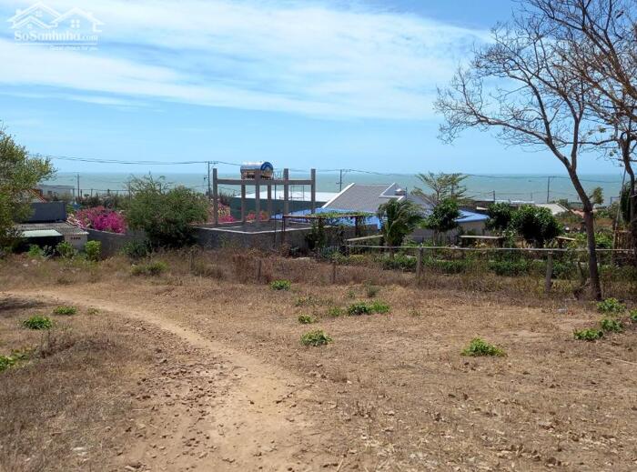 Hình ảnh Đại Hạ Giá,nhiều đất Sào-Nội bộ Hàn Mặc Tử-Phú Hài(Phan Thiết)-Lâm Đồng 0