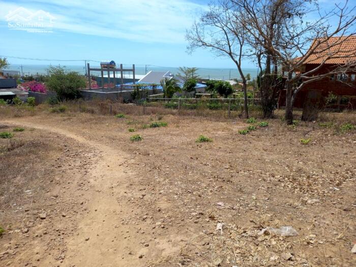 Hình ảnh Đại Hạ Giá,nhiều đất Sào-Nội bộ Hàn Mặc Tử-Phú Hài(Phan Thiết)-Lâm Đồng 1