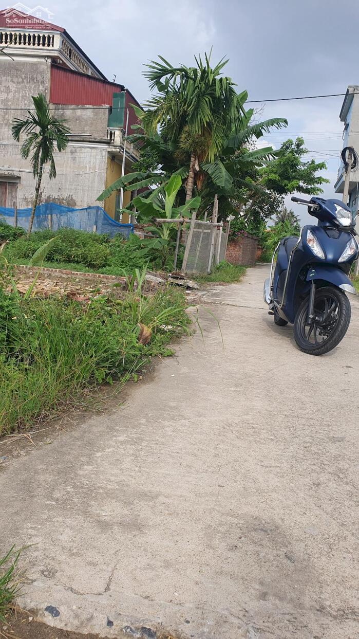 Hình ảnh Đất Đẹp vuông vức giá rẻ Lương Tài, Bắc Ninh, kết nối hạ tầng sân bay 2