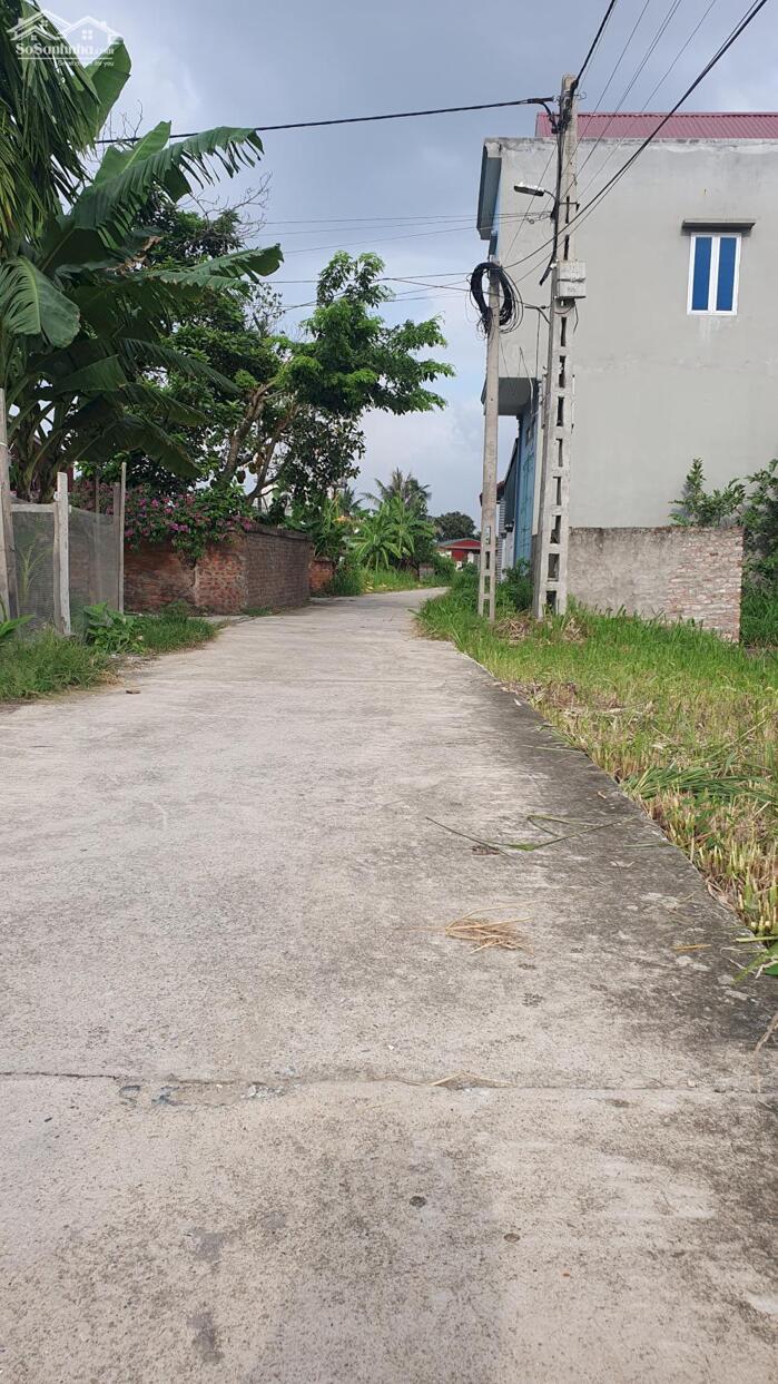 Hình ảnh Đất Đẹp vuông vức giá rẻ Lương Tài, Bắc Ninh, kết nối hạ tầng sân bay 0