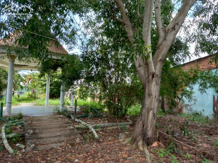 Hình ảnh Đất nội bộ Hải Thượng-P.Bình Thuận(Phú Tài-Phan Thiết)-Lâm Đồng-1.120m2,có 400m2TC 2