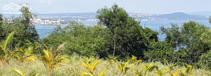 Hình ảnh Đất Ngộp View Biển,mặt tiềnTrần Lê-Tiến Thành-Lâm Đồng-1.167m2+4.390m2 1