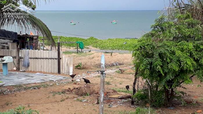 Hình ảnh Đất Ngộp View Biển,mặt tiềnTrần Lê-Tiến Thành-Lâm Đồng-1.167m2+4.390m2 3