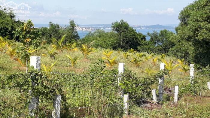 Hình ảnh Đất Ngộp mặt tiền Âu Cơ-Tiến Thành(Phan Thiết cũ)-Lâm Đồng-DT 3.920m2,có 100m2TC 3