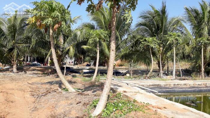 Hình ảnh Đất Ngộp mặt tiền Âu Cơ-Tiến Thành(Phan Thiết cũ)-Lâm Đồng-DT 3.920m2,có 100m2TC 2