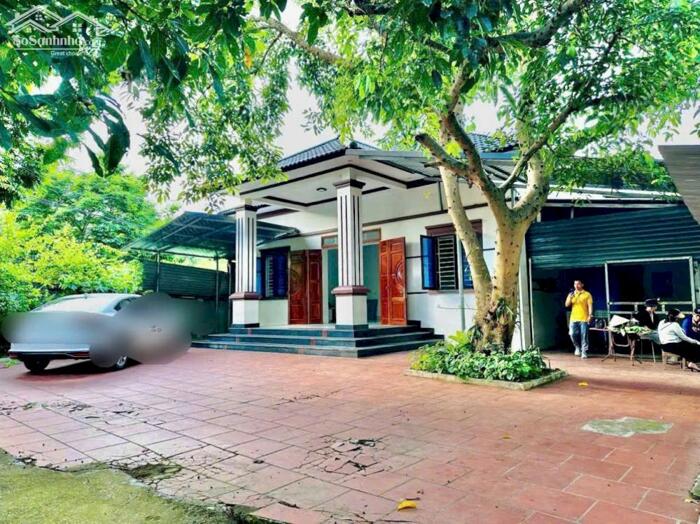 Hình ảnh Bán biệt thự nhà vườn tại xã Tam dương bắc, Phú thọ (thôn 5, Hoàng hoa, Tam đương cũ) 2