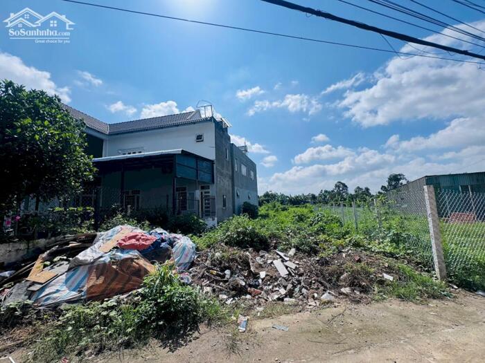 Hình ảnh Bán đất phường Tân Triều (xã Tân Bình cũ), đường Bình Hòa-Cây Dương 196m2 ngang 8m giá chỉ 3.5 tỷ 9