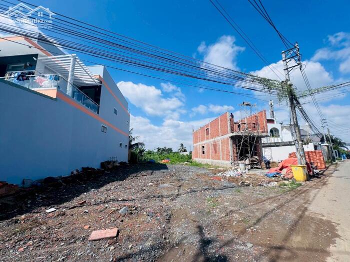 Hình ảnh Bán đất phường Tân Triều (xã Tân Bình cũ), đường Bình Hòa-Cây Dương 196m2 ngang 8m giá chỉ 3.5 tỷ 11