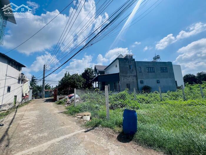 Hình ảnh Bán đất phường Tân Triều (xã Tân Bình cũ), đường Bình Hòa-Cây Dương 196m2 ngang 8m giá chỉ 3.5 tỷ 6