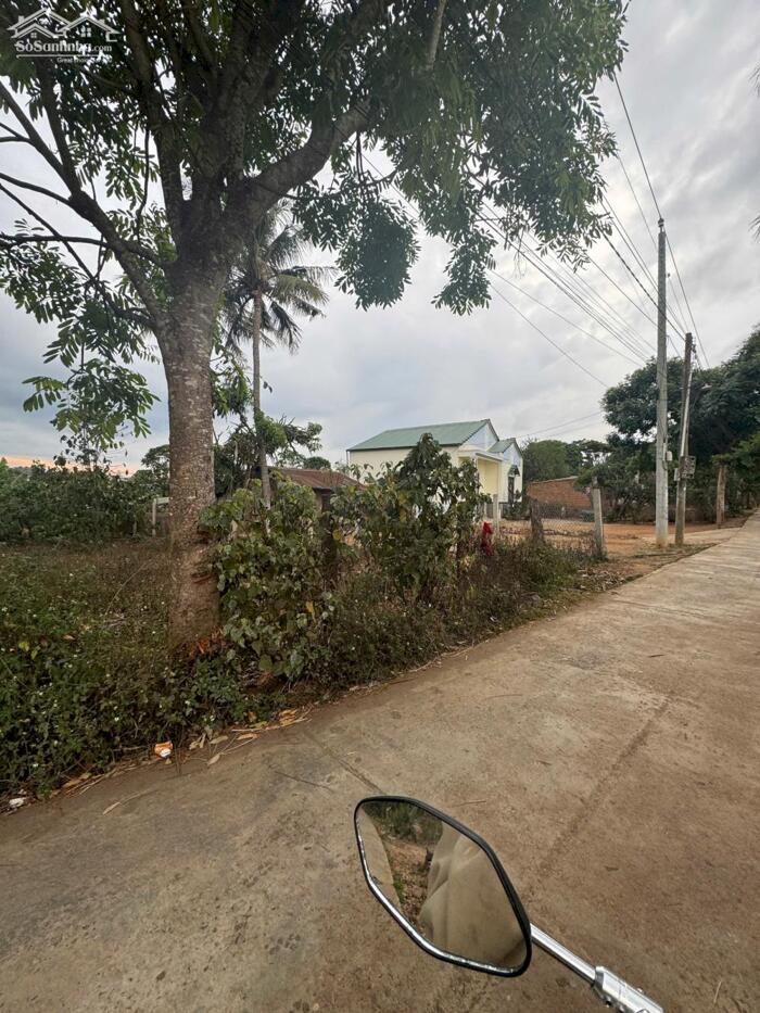 Hình ảnh ĐẤT NỀN GIÁ RẺ SÁT ĐƯỜNG CAO TỐC - SÂN BAY 3