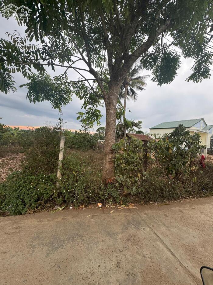 Hình ảnh ĐẤT NỀN GIÁ RẺ SÁT ĐƯỜNG CAO TỐC - SÂN BAY 0