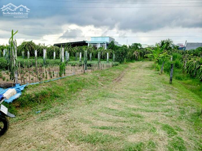 Hình ảnh Đất Ngộp,gần bên QL1A-Thôn1-Xã Hồng Sơn-Lâm Đồng-DT 8,5 sào 0