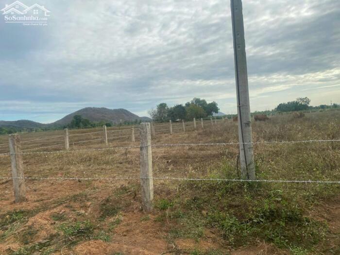 Hình ảnh Đại Hạ Giá-Nhiều đất Sào mặt tiền 711-Hàm Thuận Bắc(Thuận Hoà cũ)-Lâm Đồng 2