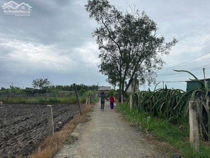 Hình ảnh bán đất 6x30 full thổ cư đường ôtô, cách biển Lâm Đồng 2km. sổ riêng. 500 triệu 0