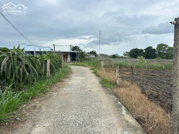 Hình ảnh bán đất 6x30 full thổ cư đường ôtô, cách biển Lâm Đồng 2km. sổ riêng. 500 triệu 1