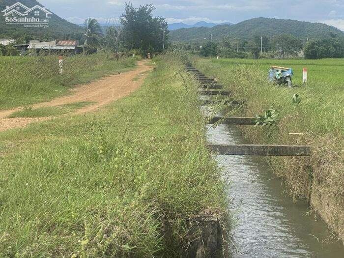 Hình ảnh Đất Siêu Rẻ-Thôn 2-Hàm Liêm-Lâm Đồng-DT 1,3 sào,gần Trung Thành Nam 1