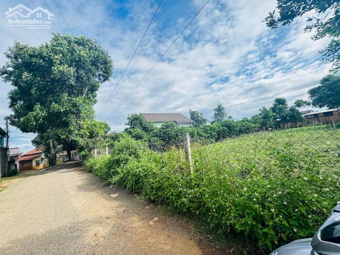 Hình ảnh ĐẤT NỀN ĐỨC TRỌNG SÁT ĐƯỜNG CAO TỐC- SÂN BAY 3