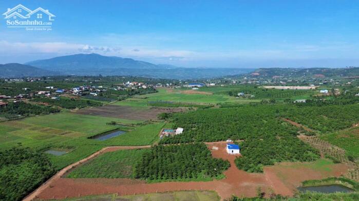 Hình ảnh Đan Phượng-Lâm Hà-Lâm Đồng dt hơn 1000m2 sẵn 100m2 thổ cư mặt tiền bê tông 13m cách nhựa liên xã 300m giá 6xxtr 4