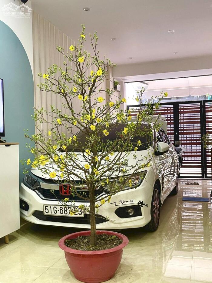 Hình ảnh Bán nhà hẻm thông xe hơi đường số 9, phường 16, GV. 0