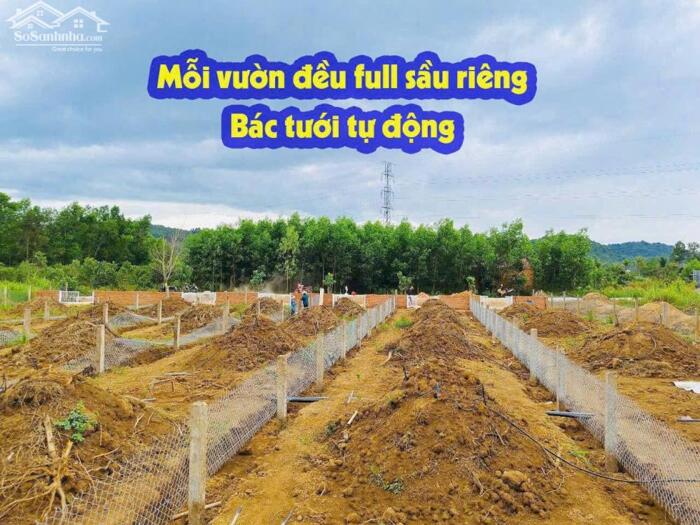 Hình ảnh Đất thị trấn Madaguoi 8 lô siêu phẩm nghỉ dưỡng dt hơn 200m2 sẵn 100m2 thổ cư chỉ từ 365tr 4