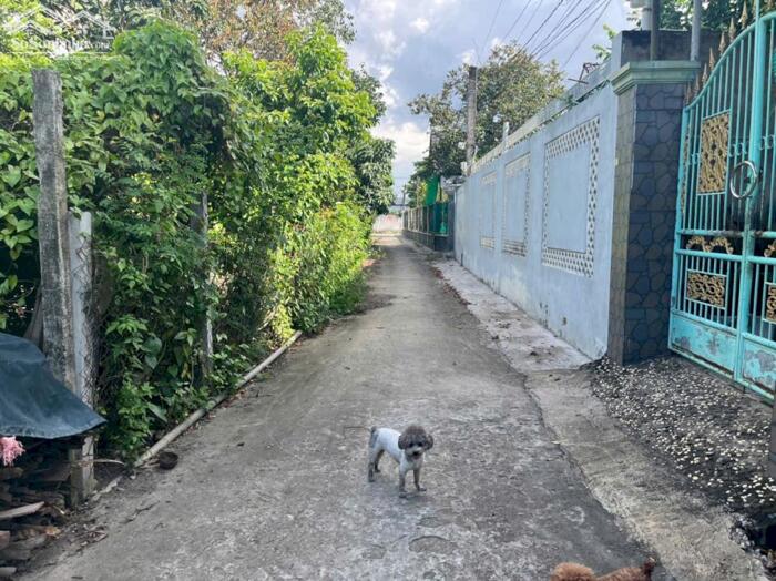 Hình ảnh Đất hẻm ô tô P6 TP Tân An, Long An 1