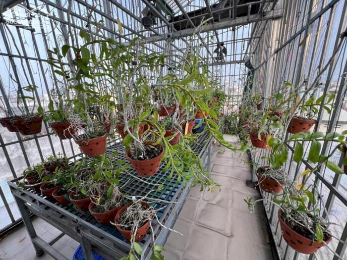 Hình ảnh [TÂN BÌNH] VIP Bàu Cát - Đồng Đen - Nhà 4 tầng BTCT 6PN - DT 59m2 vuông vức - Chỉ 6.1 tỷ 3