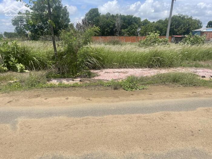 Hình ảnh Đất nền 2 nền liền kề 89m2 kdc Phước Đông garden view công viên giá rẻ 730tr/nền 1