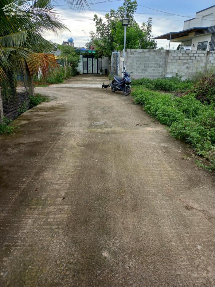 Hình ảnh Đất Hàm Liêm-Hàm Thuận Bắc-DT 1.000m2,MT 23m,gần Nhựa,gần KDC Rạng Đông. 0