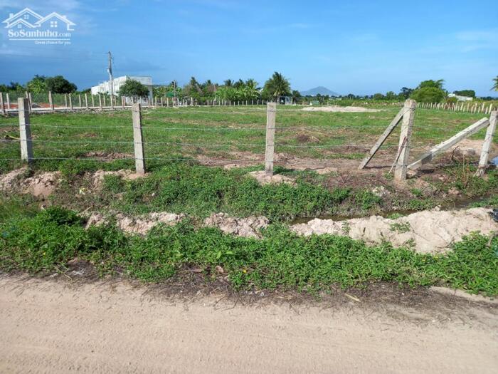 Hình ảnh Đất Hàm Liêm-Hàm Thuận Bắc-DT 1.000m2,MT 23m,gần Nhựa,gần KDC Rạng Đông. 1