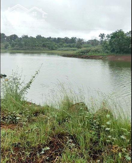 Hình ảnh Nhiều đất Sào 2 mặt tiền,View Sông Phú Hài-Kim Ngọc-Phường Hàm ThắngLâm Đồng 0